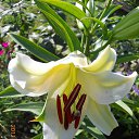  ,  -  26  2014     .