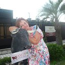 ���� �����, ���������, 62 ���� - ��������� 11 ������� 2014 � ������ ���� ����������