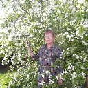 ���� ����������, ��������, 55 ��� - ��������� 1 ���� 2014 � ������ ���� ����������