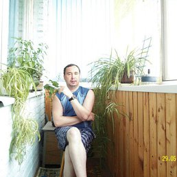 ������, ������, 51 ���