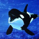 ���� �������, ������, 52 ���� - ��������� 24 ������ 2014 � ������ ���� ����������