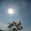 ���� �����, ������� - ��������� 18 ������� 2014 � ������ �17.08.2014�.�