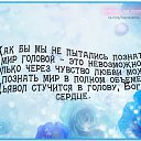 ���� ������, ������, 49 ��� - ��������� 8 ��� 2014 � ������ ������ ��������