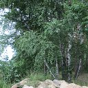 ���� ������� �� �������!!!, ��������� - ��������� 13 ������� 2014 � ������ ���� ����������