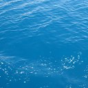 ����......��� ����!