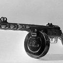 ��� 41 " ������" �� ������� ���� ����������