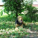 ���� ������, ������, 49 ��� - ��������� 6 ���� 2014 � ������ ������� �������