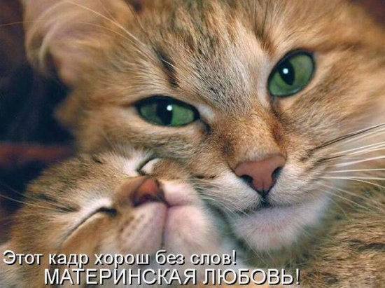 =)