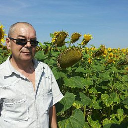 Володимир, 59, Олевск