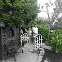 ���� ������, ������, 36 ��� - ��������� 10 ���� 2014