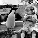 ���� ������, ������, 64 ���� - ��������� 22 ��� 2014 � ������ ������ ��������