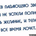 ���� �����, �����������, 40 ��� - ��������� 30 ���� 2014 � ������ ������ ��������