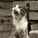 ���� Antonida, ����� - ��������� 24 ���� 2014 � ������ ������ ��������