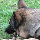  Andrus, , 63  -  21  2014    