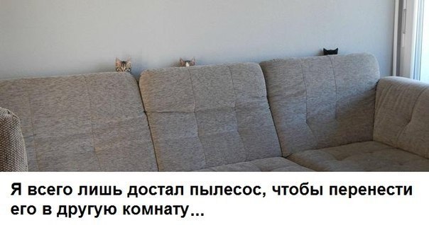 ����������� (18+) - 8 ���� 2014 � 16:03