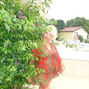 ���� �����, �������, 53 ���� - ��������� 18 ���� 2014 � ������ ���� ����������