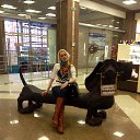 ���� �����, �����-��������� - ��������� 21 ������� 2014 � ������ �2014�