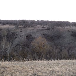 ��������, �����������, 53 ����