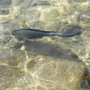 ���� ����������, ������, 58 ��� - ��������� 29 ���� 2014 � ������ ���