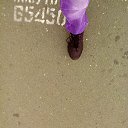 ���� �����, ������� - ��������� 23 ���� 2014 � ������ �23.06.2014�