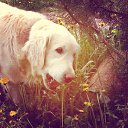 ���� ��������, ������, 31 ��� - ��������� 27 ���� 2014 � ������ ������ ��������