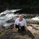 ������� 2013��� ����