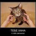 ���� ��������, ���� - ��������� 27 ���� 2014 � ������ ������ ��������