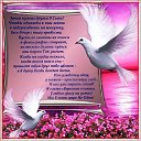 ���� �����, ������������, 73 ���� - ��������� 19 ����� 2014 � ������ ������ ��������