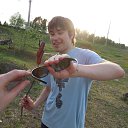 ���� ������, ������, 34 ���� - ��������� 14 ��� 2014 � ������ ���� ����������