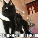  , , 61  -  9  2014      )))