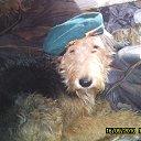 ���� ������, ������, 49 ��� - ��������� 1 ������ 2014 � ������ ������� �������