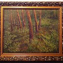 ���� ������, �����-���������, 51 ��� - ��������� 13 ������� 2014 � ������ �������