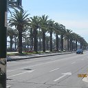  -      2014
