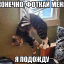 ���� �����, ����, 36 ��� - ��������� 22 ���� 2014 � ������ ������ ��������