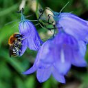 3.07.2014 �� ������� �� ��� - ��������!!!)))�