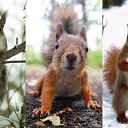 ���� �������, �����-���������, 43 ���� - ��������� 17 ������ 2014 � ������ ������ ��������