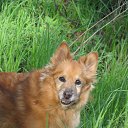 ���� Darida, ������� �����, 64 ���� - ��������� 16 ���� 2014 � ������ ������ ��������