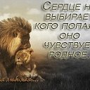 ���� �������, ����, 78 ��� - ��������� 16 ���� 2014 � ������ ������ ��������