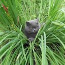 ���� ""��������"", ������, 31 ��� - ��������� 17 ����� 2014 � ������ ���� ����������