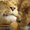 ���� Olga, ������� - ��������� 24 ������ 2014 � ������ ������ ��������