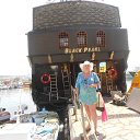 ����---2014 ���� �� ������� ���� ����������