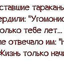 ���� ������, �������� - ��������� 11 ���� 2014