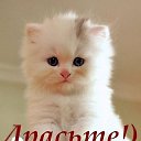 ���� ������, ��������� - ��������� 26 ���� 2014 � ������ ������ ��������