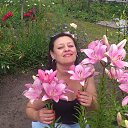 ���� Elena, ������ - ��������� 11 ������� 2014 � ������ ���� ����������