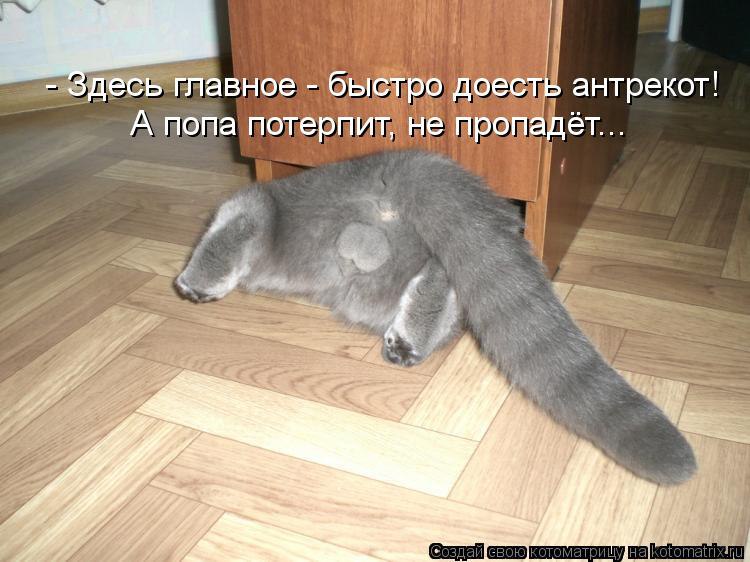  - 15  2014  03:13