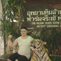 ���� �������, �����, 51 ��� - ��������� 18 ���� 2014