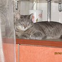 ���� ������, �����, 59 ��� - ��������� 9 ������� 2014 � ������ ���� ����������