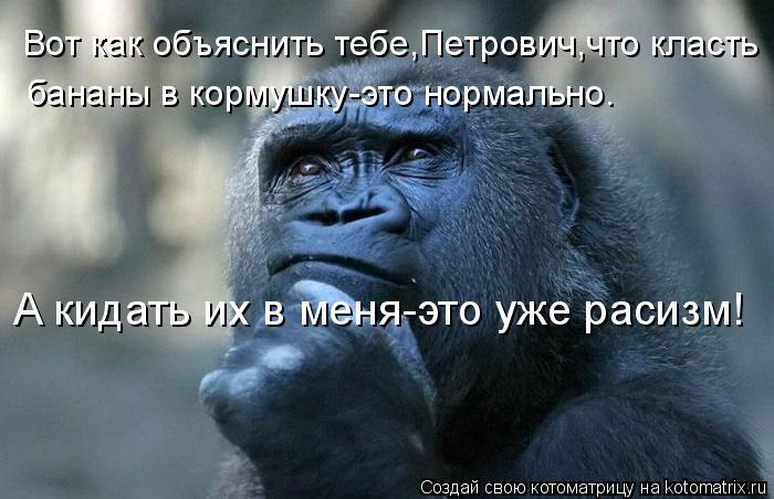 Alex Linadherent - 17  2014  12:52