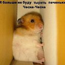 ���� ������, �����-��������� - ��������� 30 ������ 2014 � ������ ������ ��������