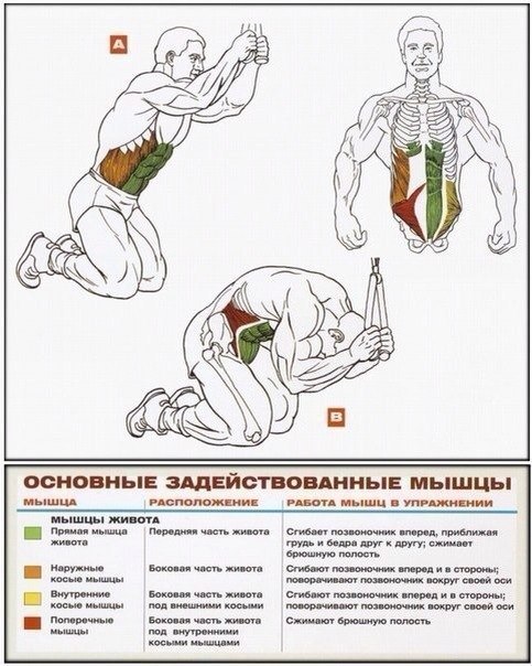 Как качать пресс в зале для мужчин